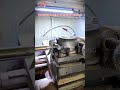 Maximize Vessel Uptime: Precision Marine Bearing Machining Explained