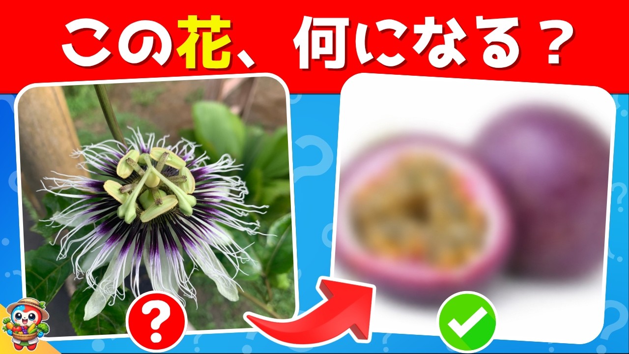 35 Questions on Vegetable and Fruit Flowers] Can you become a