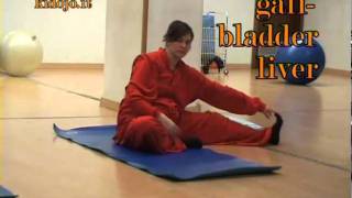 Stillpointer 2010 Taoist Yoga For Pregnant Women With Margot3