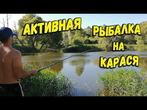 Активная ловля карася на реке с новинками Тритон Mikatsu