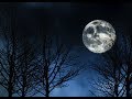 Fear Not this Night - Clamavi De Profundis