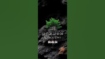 تلاوة خاشعة للقارئ ياسر الدوسري ارح سمعك ❤️#قرآن #راحة_نفسية