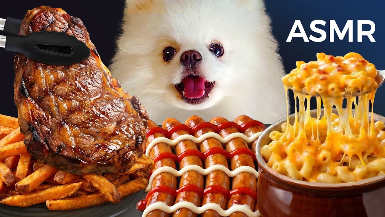 ASMR Mukbang | Yue the Pomeranian Eating Steak, Fries, Mac and Cheese & Sausage