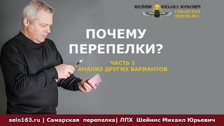 Почему перепелки часть 1 Выбор из возможных вариантов