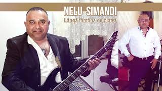 Video thumbnail of "Nelu Simandi - Langa fantana de piatra"