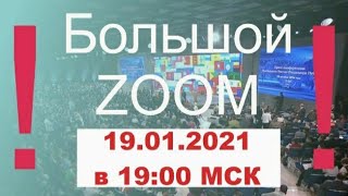 большой ZOOM. ЖКХ, Собачий паспорт... Объединённые Народные Советы! Часть 1.