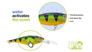 Fish Allure Video HD