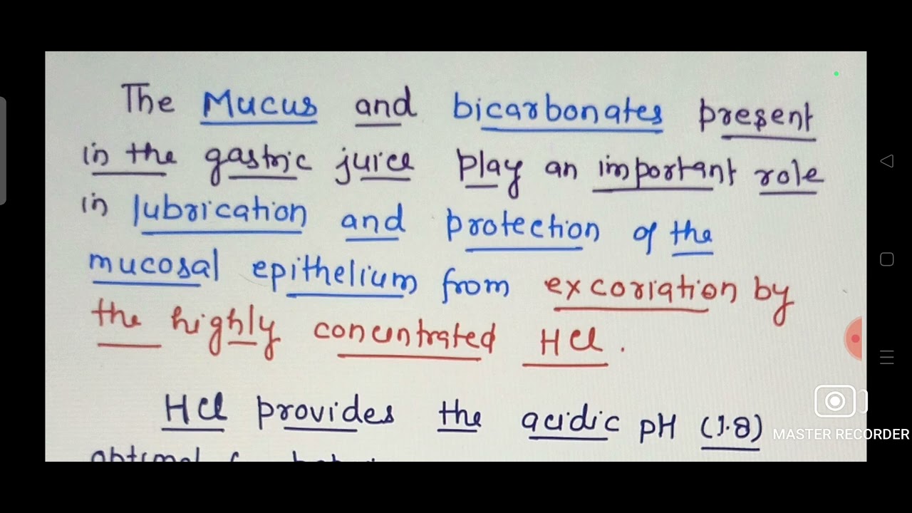 Process involved in DIGESTION of Food in STOMACH. Class -11 Biology Ch ...