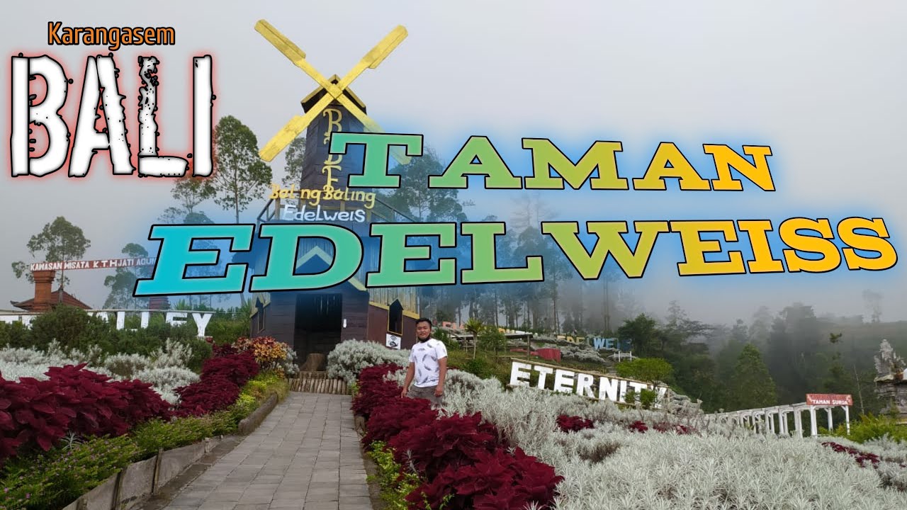 Taman Edelweiss Karangasem Bali Tempat Wisata Dibali Story Vlogwisatabali Youtube