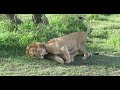 @PoriQuestSafaris