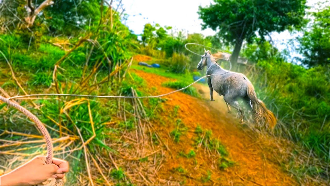 TENTANDO LAÇAR O CAVALO DO MEU AMIGO QUE FUGIU * O final foi trágico demais *