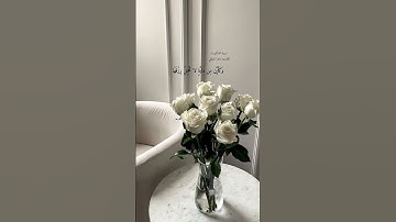 سورة العنكبوت القارئ ماهر المعيقلي🤍#القرآن_الكريم#ماهر_المعيقلي#سورة_العنكبوت
