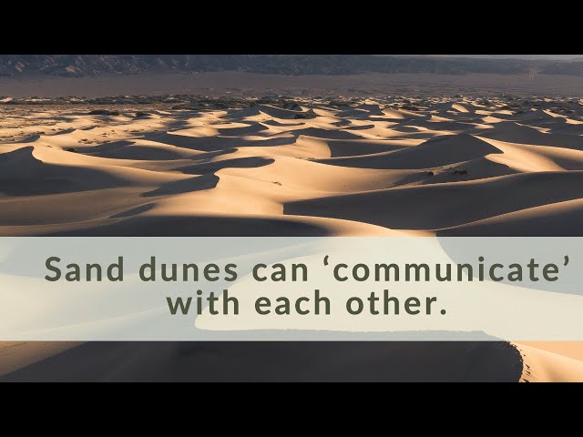 Sand Dunes 'Communicate' as They Migrate, Smart News