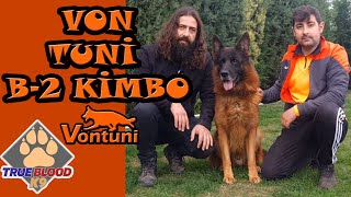 TÜRKİYENİN EN YAKIŞIKLI KÖPEĞİ KİMBO  KİMBO KANI KÖPEKLER  ALMAN KURTLARI  BÖLÜM 2