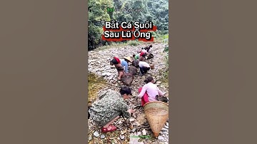 Bắt cá Suối bị kẹt lại các góc đá sau khi lũ ống đổ xuống