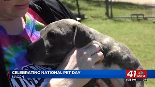 Non-kill animal shelter in Macon offers opportunities to adopt for National Pet Day