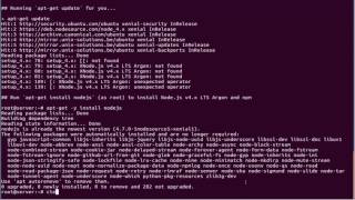 Install  ServerSide JavaScript Environment Node.js on Linux
