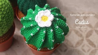 tutorial amigurumi cactus # 1 || misyelshin crochet