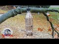 How to - Make a Bird Feeder from a Plastic Bottle (Jak vytvořit krmítko z PET lahve)