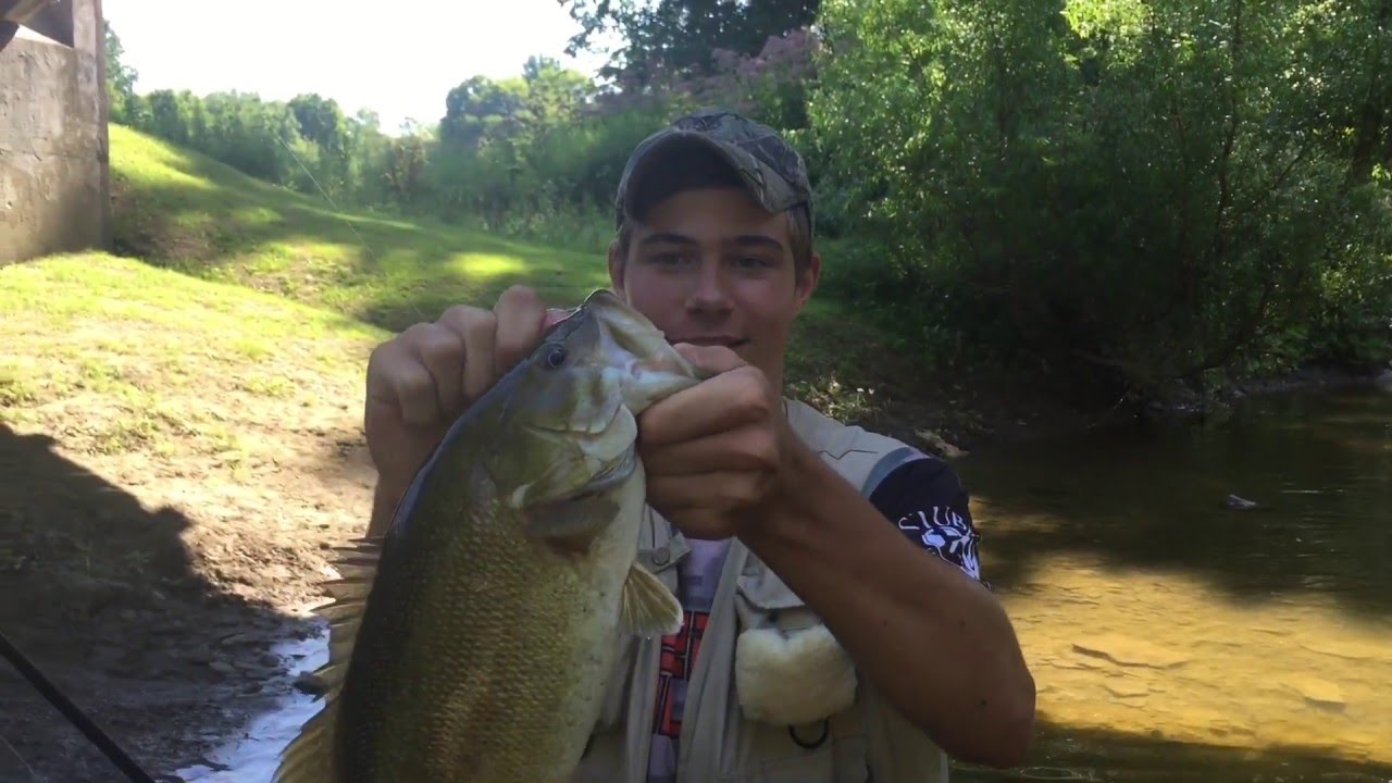 Smallmouth Bass Fishing Ohio Creeks Big Bass YouTube