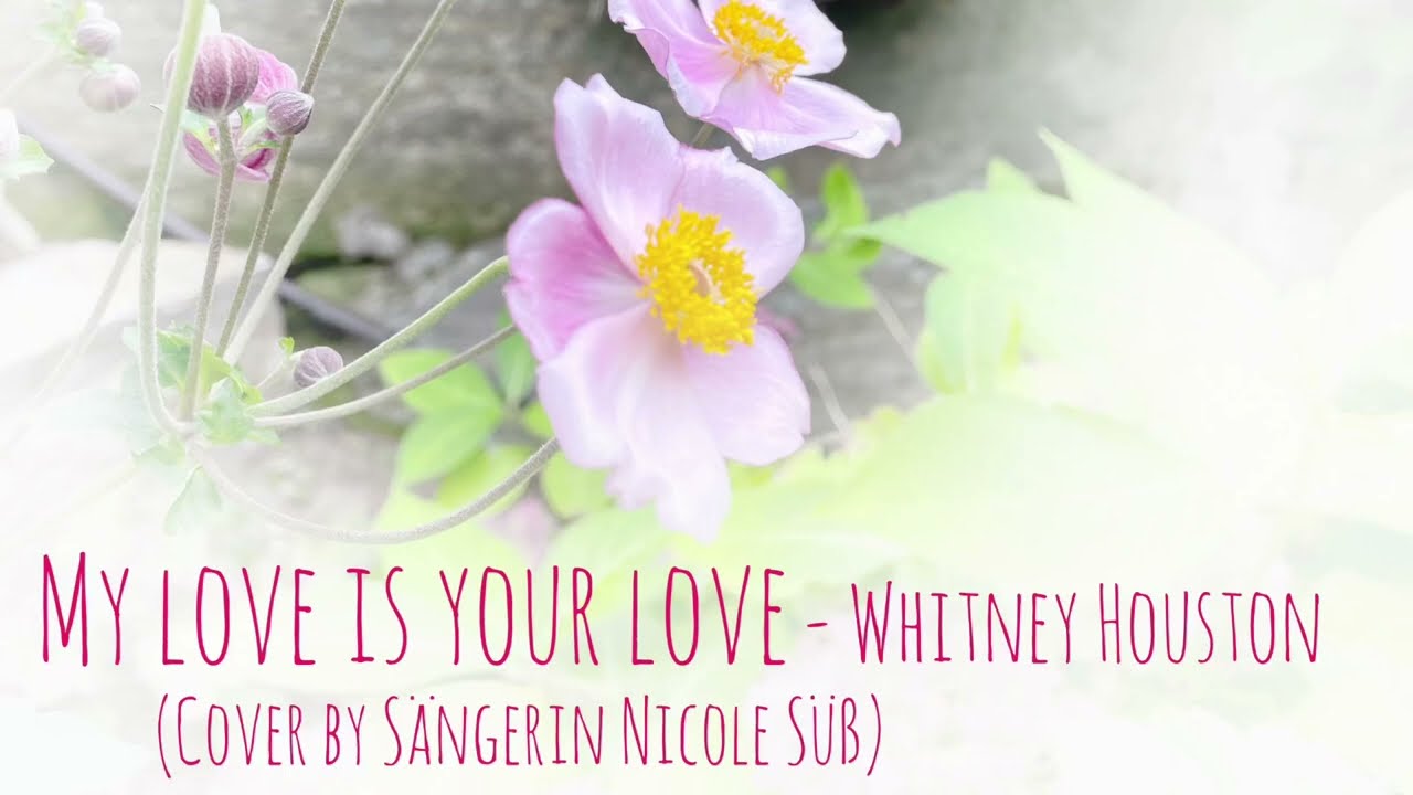 My love is your love - Whitney Houston (Cover by Sängerin Nicole Süß