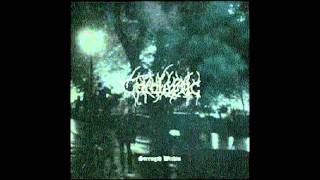 Cataleptic - Paradigm