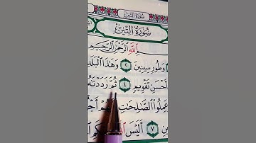 سورة التين والزيتون الشيخ علاء عقل