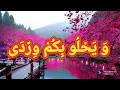 تناديكم روحى 