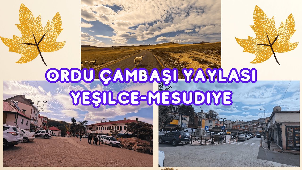 ORDU - ÇAMBAŞI YAYLASI (PLATEAU )🌲YEŞİLCE -MESUDİYE’YE  SÜRÜŞ (DRIVING). 4K HDR