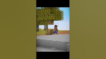 Minecraft Bugrock and Java Seed Moment