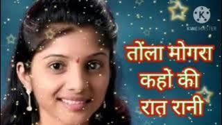 TOLA MONGRA KAHO KI RAAT RANI NEW CHHATTISGARHI SONG  MURLEE RAJA KOTBA 2024