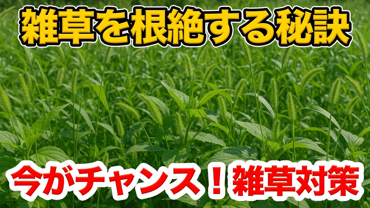 If you don't do it now, it will be too late! A thorough