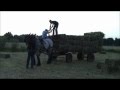 84 jarige boer haalt hooi in met belgisch trekpaard paard en kar