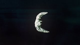Jacob Alon – August Moon (Lyric Video)