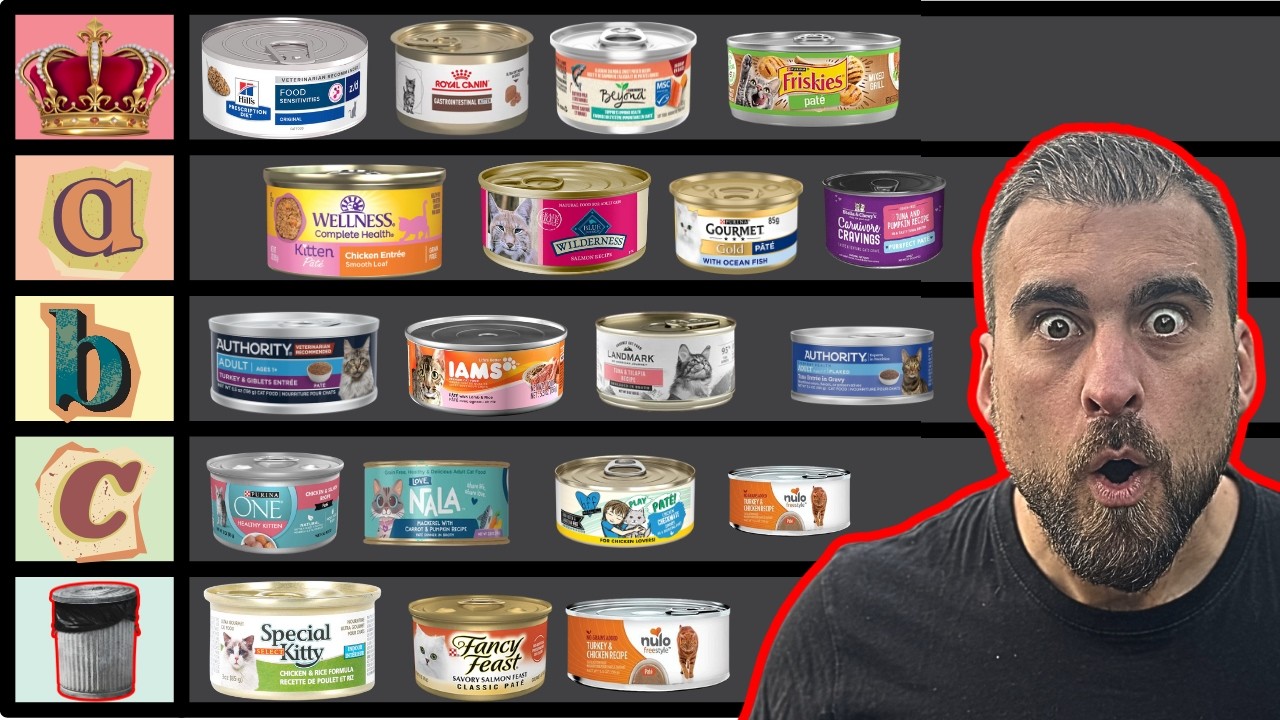 Cat Nutritionist Ranks The Best Wet Cat Foods