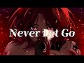 【original】Never Let Go feat.シャーク（cv七海サクヤ） / 天米わた