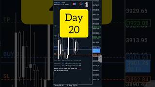 Day 20 $100-$1000 Crypto Live Trade ETH in forex #trading #livestream #crypto #cryptotrading #forex