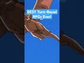 TOP 10 Best Turn Based RPGs