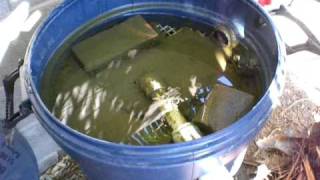 Pond Homemade Bio Filter Part 5