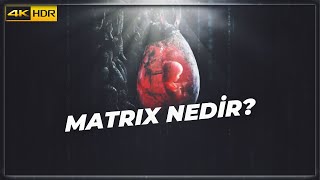 Matrix'in Tüm Hikayesi