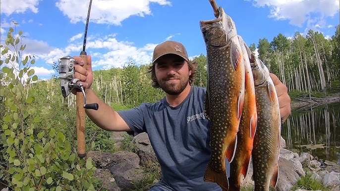 Montana Gulpers (Big Trout) 