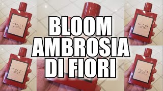 gucci bloom perfume ambrosia