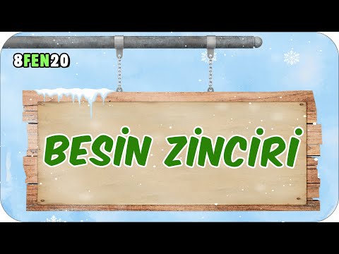 Besin Zinciri 📗 tonguçCUP 3.Sezon - 8FEN20 #2024LGS