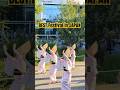 BEST JAPANESE FESTIVAL Awaodori in TOKYO replace of Tokushima | #shorts #festival #japan