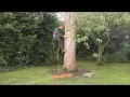 Tree Surgeons Stockport Manchester 0161-427 -5813 Tree Surgeons Stockport Manchester 0161-427 -5813