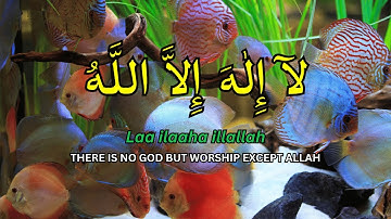 DZIKIR LAILAHAILLALLAH for Stress Relief Dzikir for Peace of Mind Easy Sleeping #289