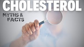 Myths Or Facts - The Truth About Cholesterol and Heart Disease Risk