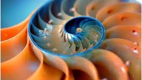 SYSTEM 7 (777)  -  FRACTAL LIAISON  Steve Hillage and Derrick May