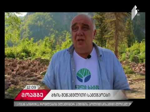 დასავლეთ საქართევლოში ბზის კორომების შეწამვლითი სამუშაოები გრძელდება