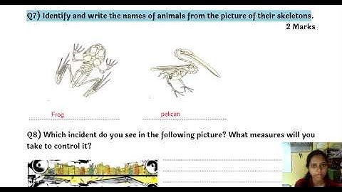 Setu Abhyas Test : Std 7 th -  Science - Test No. 3 | Bridge Test Std 7 | Semi English + English